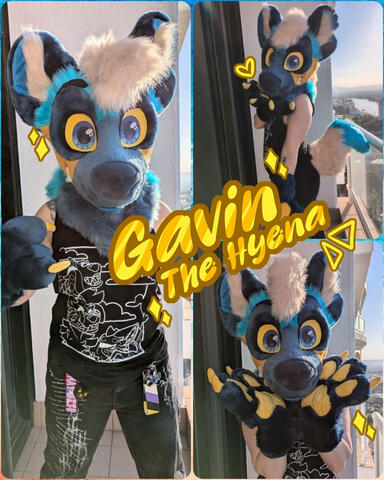 Gavin