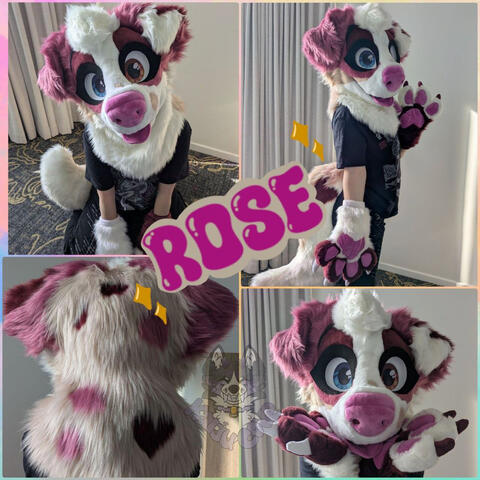 Rose