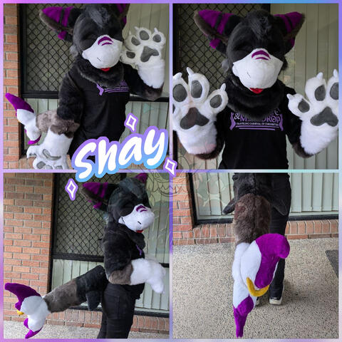 Shay