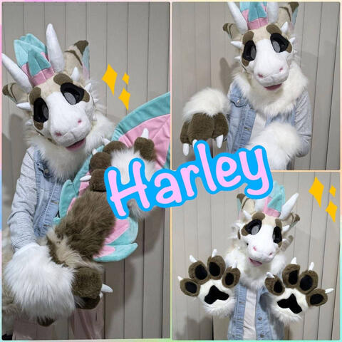 Harley