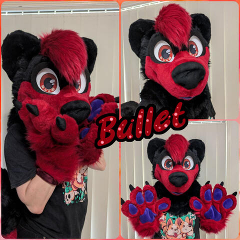 Bullet